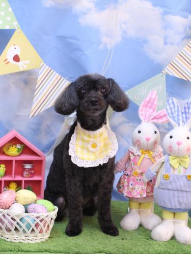 20240326ピピちゃん